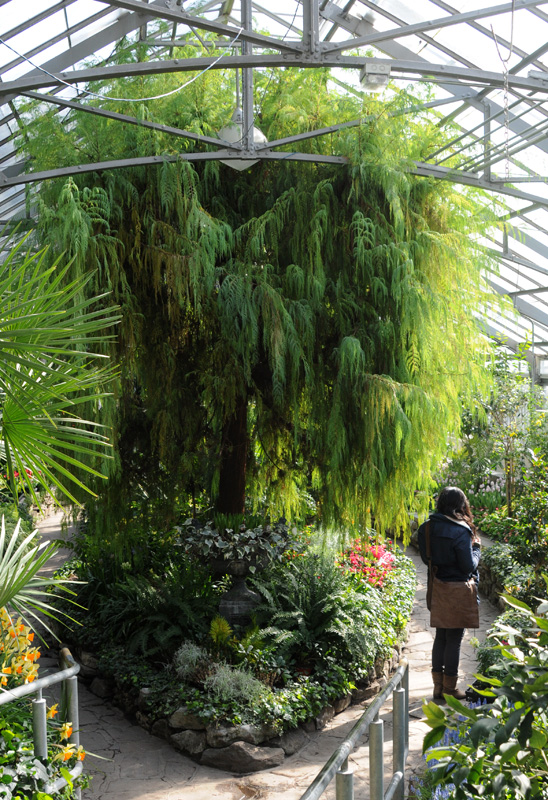 365 things in 365 days » Blog Archive » 49) Visit Allan Gardens