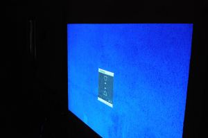 backyardMovieNight_03