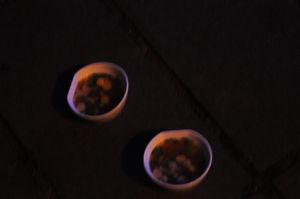 backyardMovieNight_04