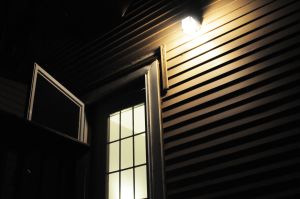 backyardMovieNight_06