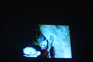 caveOfForgottenDreams_02