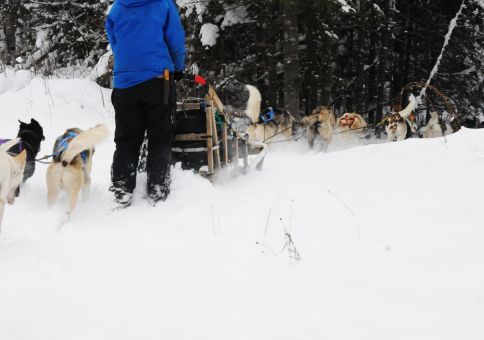 goDogSledding_06