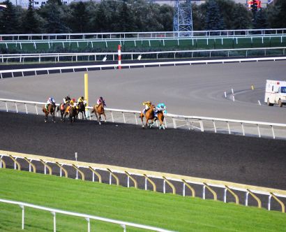 goTohorseRaces_03