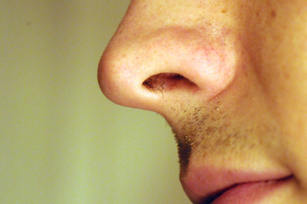 365 things in 365 days » Blog Archive » 18) Trim my nose hairs