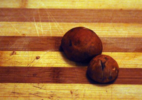 Orange Bolete caps