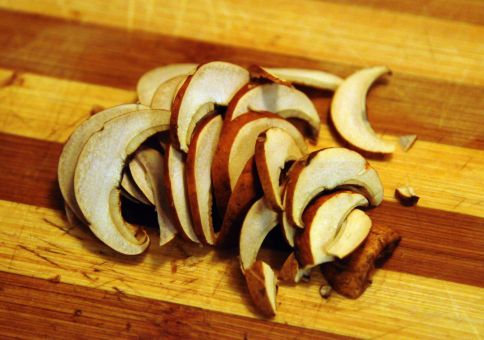 Chopped Orange Bolete caps