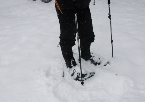 snowshoe_04