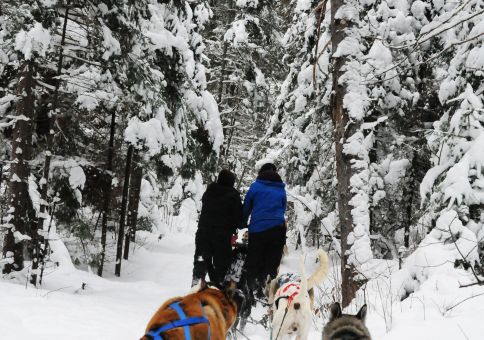 goDogSledding_07